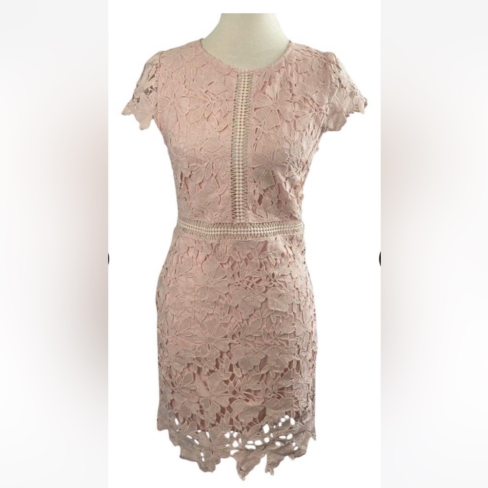 Renvy Light Pink Lace Crochet Fitted Cocktail Dress